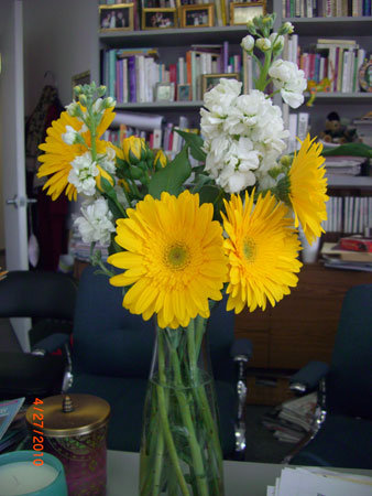 yellow-flowers-in-office