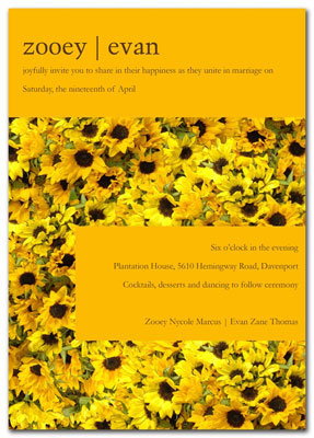 pb-sunflower-fantasy