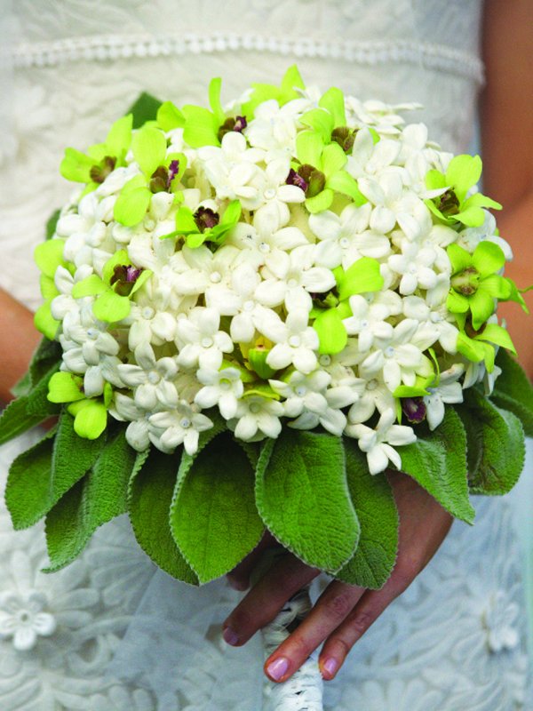 Green Scene: Jennifer & Steven in Rye Brook, NY